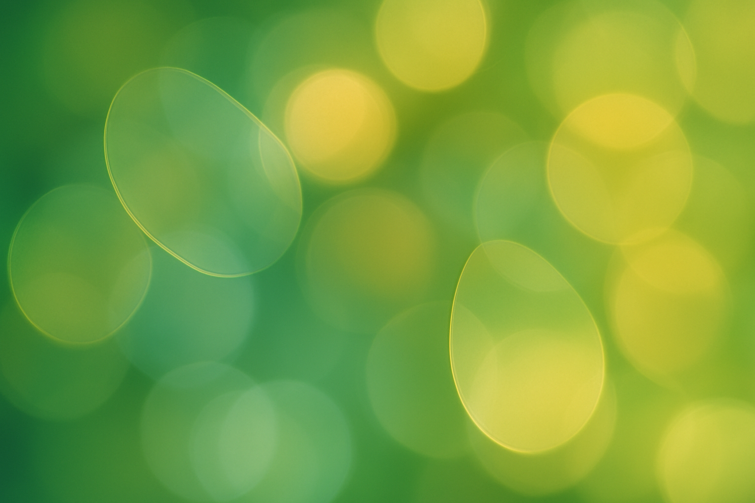 Blog Placeholder Image